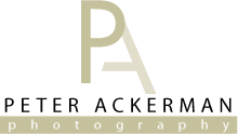 Peter Ackerman